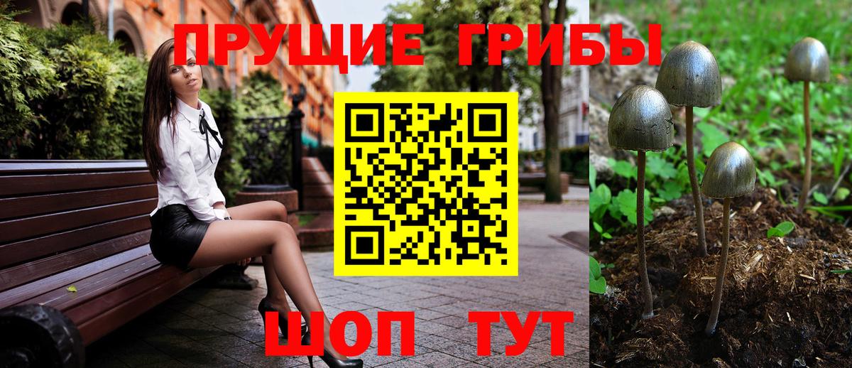 Галлюциногенные грибы Psilocybine cubensis  Вход с VPN  купить наркоту  Нижний Новгород  Псилоцибиновые грибы Magic Shrooms 